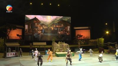 【视频】浠水县亲子杂技武侠剧《黑白侠影·太极熊猫》燃爆武汉文化艺术市场