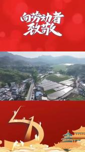 【视频】筑梦乡村 书写奋斗篇章
