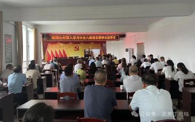 浠水县丁司垱镇这场农村党员培训观摩交流活动超“有料”