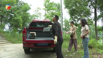 【视频】浠水县成功救助并放归两只国家二级保护鸟类