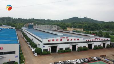 【视频】浠水县“专精特新”企业增至54家 培育工作迈上新台阶