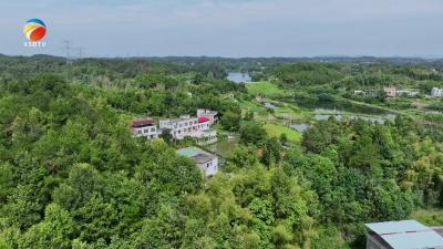 【视频】浠水县多个村、单位及家庭获评全国文明荣誉称号