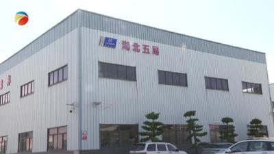 【视频】从制造到“智造”！浠水县五易机械跻身省级智能工厂行列