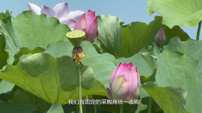 李殿勋在神农架林区调研