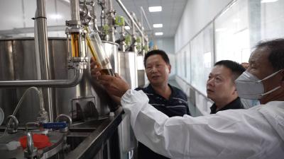 浠水“双明”入选湖北特色菜籽油品牌：“7D”工艺促升级，供销一体助振兴！