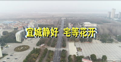 微视频 | 宜城静好 宅等花开