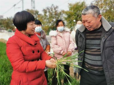 鄢城街道木渠村：“三学”提升群众种田水平