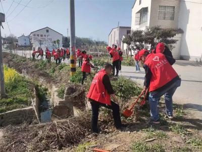 宜城市万洋洲国家湿地公园、资规局开展义务植树活动