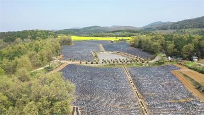 刘猴镇：推进农田基础设施建设 铺就现代农业新画卷