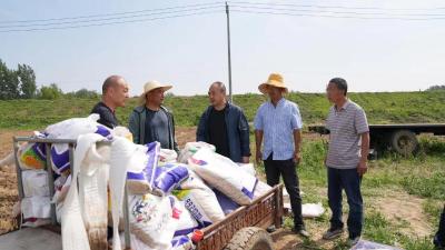 湖北襄阳宜城：新技术赋能 夏种上“新”