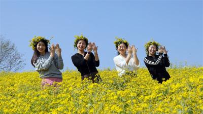 刘猴镇前程村：千亩菊花开满山 游客闻香纷至来