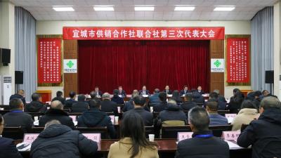 【云视听】宜城市供销合作社联合社第三次代表大会开幕