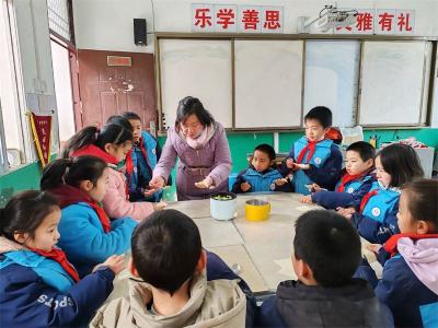 鄢城街道铁湖小学开展“情暖冬至传承文化”包饺子劳动实践活动