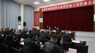 宜城市供销合作社联合社第三次代表大会胜利闭幕