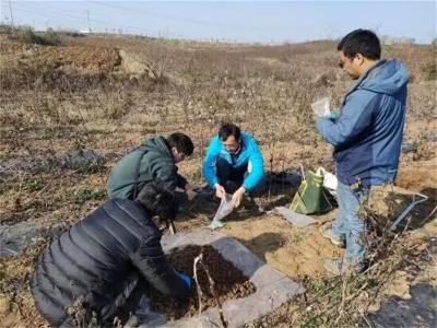 流水镇全力支持第三次全国土壤普查