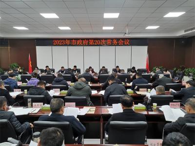 肖平主持召开2023年宜城市政府第20次常务会议