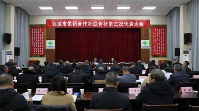 宜城市供销合作社联合社第三次代表大会召开预备会