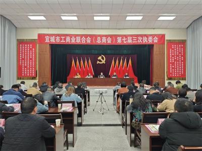 宜城市召开市工商联(总商会)第七届三次执委会