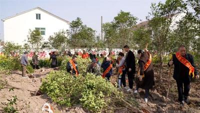 同植一棵树 共建劳模林——宜城各级劳模携手共筑绿色家园