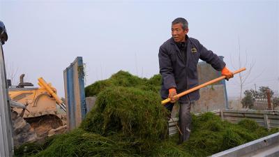 宜城：“虾”兵未动 “粮草”先行