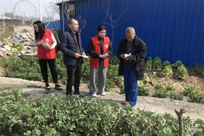 龙头街道禁毒社区：禁种铲毒不止步 宣传踏查守净土