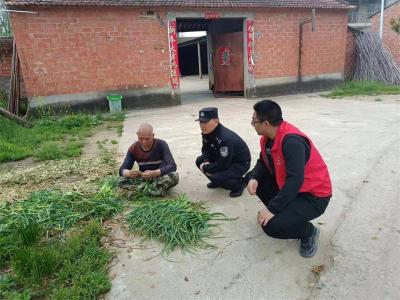 王集镇：春暖花开季 禁种铲毒时