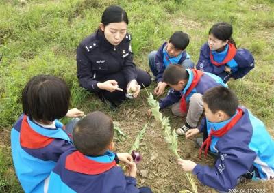 郑集镇楚才小学开展禁毒知识教育活动