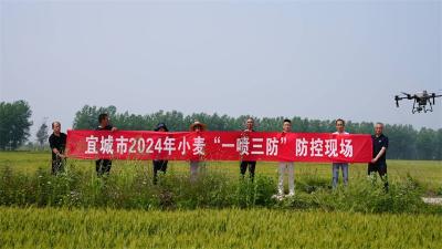 宜城市农业农村局开展小麦赤霉病“一喷三防”二次防控工作