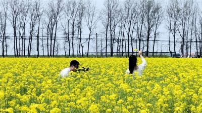 【春游宜城】南营有约 许你一个“花花世界”