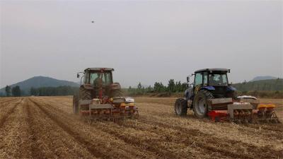 湖北宜城：大豆玉米“手牵手” 复合种植促增收