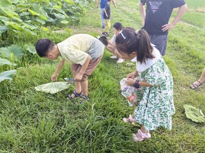 郑集镇魏岗村：小小志愿者 助力文明旅游