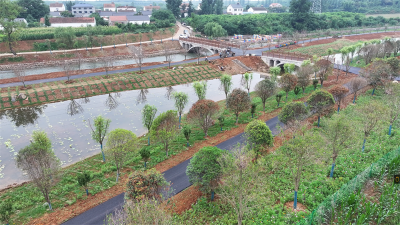 宜城市莺河幸福河湖建设项目迎来收尾阶段