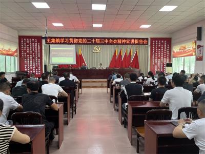 【学习贯彻党的二十届三中全会精神】王集镇学习贯彻党的二十届三中全会精神