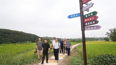 金秋时节 宜城“芈月”稻田画迎来最佳观赏期 