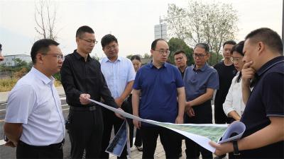 武义泉在龙头街道调研时强调：加快推动 “双集中”高质量发展取得更大成效 