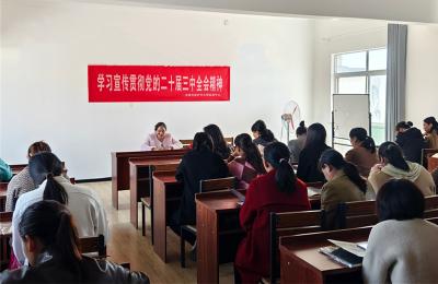 【学习贯彻党的二十届三中全会精神】郑集镇扎实开展“学习贯彻党的二十届三中 全会精神——文明实践我行动”活动