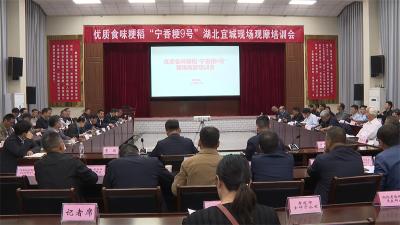 优质食味粳稻现场观摩培训会在宜城召开