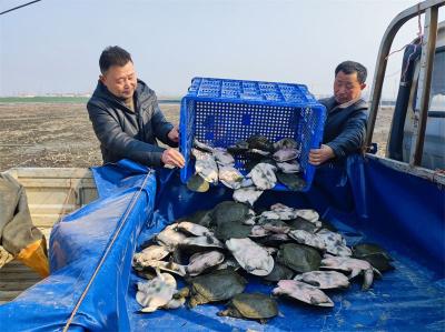 湖北宜城：和美乡村建设增“颜”又提“质”