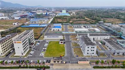 宜城：政企双向奔赴 “卡壳”项目孵出“头雁”企业