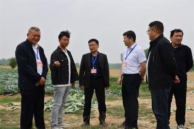 【聚力支点建设·代表行动】孔湾镇人大主席团：聚焦支点建设 助力乡村振兴