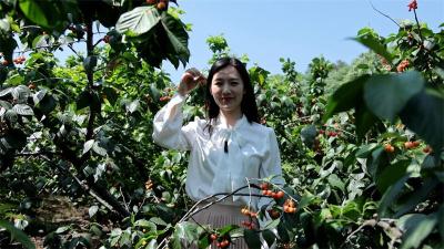 五一假期畅游美丽乡村 刘猴镇邀您共赏田园风光