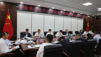 市委常委会专题学习剖析《违反中央八项规定及其实施细则精神典型案例》