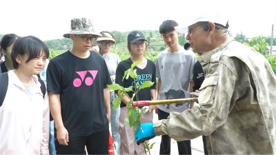 宜城市中医医院：探寻百草香 传承中医情