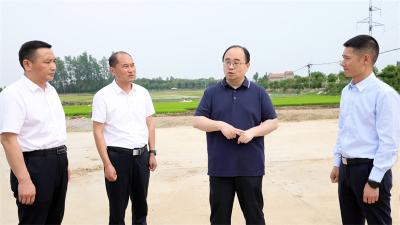 武义泉调研群众身边不正之风和腐败问题集中整治及民生实事等工作