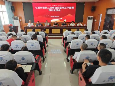宜城市委第二巡察组向市三中党委反馈巡察情况