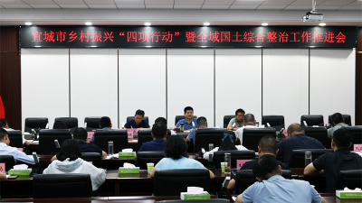 宜城部署推进乡村振兴“四项行动”暨全域国土综合整治工作
