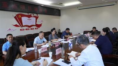 肖平调度重点项目 推动项目提速增效 