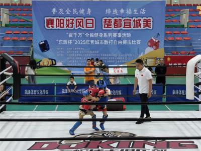 “东辉杯”2025年宜城市散打自由搏击比赛圆满落幕