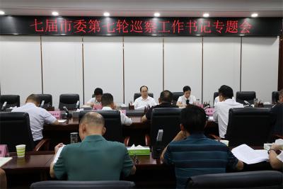 武义泉主持召开七届市委第七轮巡察工作书记专题会