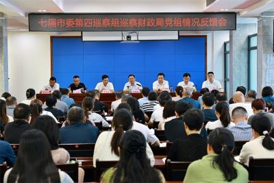 宜城市委第四巡察组向市财政局党组反馈巡察情况